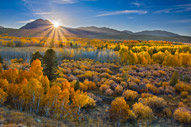 Eastern Sierra II