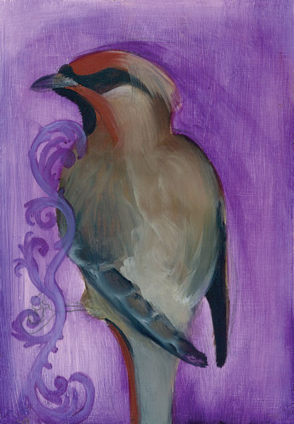 Bird Study X