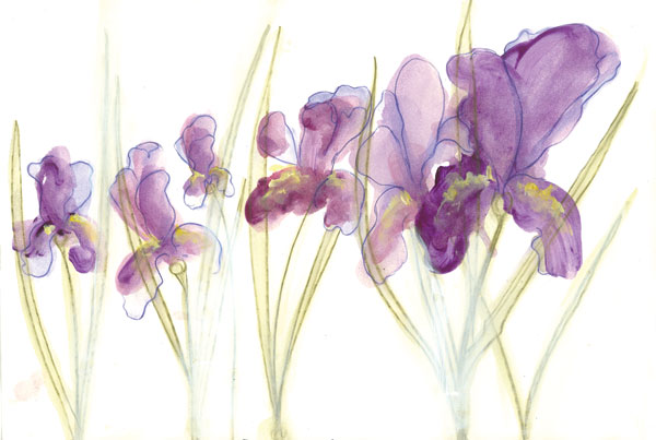 Spring Garden V