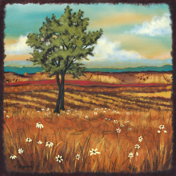 Distant Fields II