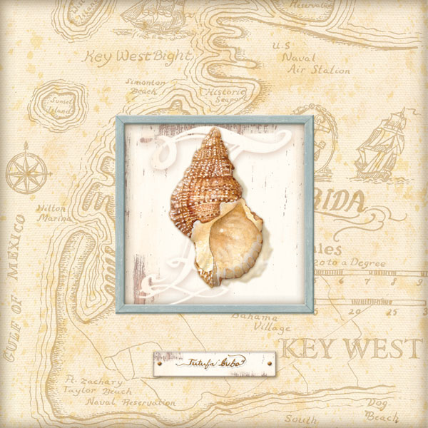 Sea Treasure I