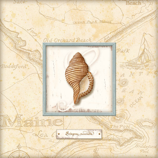 Sea Treasure IV