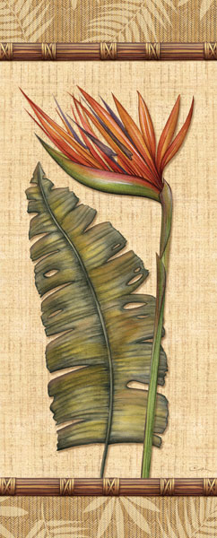 Fleurs Exotiques IV