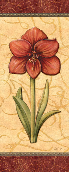 Red Passion Amaryllis