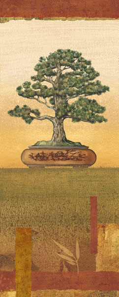 Bonsai I