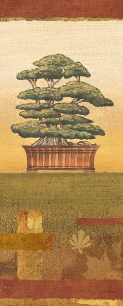 Bonsai II