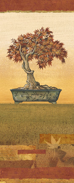Bonsai IV