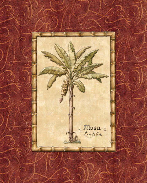 Red Passion Palm II