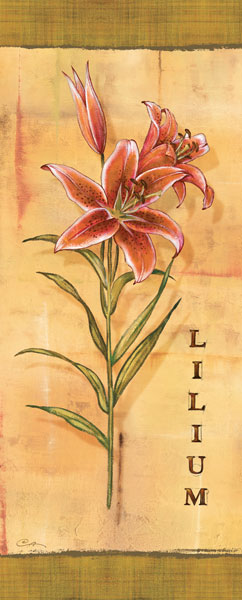 Les Lys III