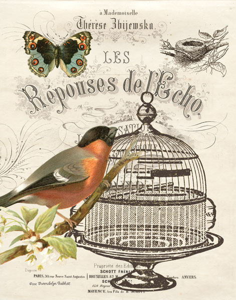Music Bird I