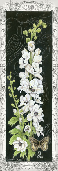 Delphinium