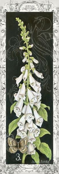 Foxglove