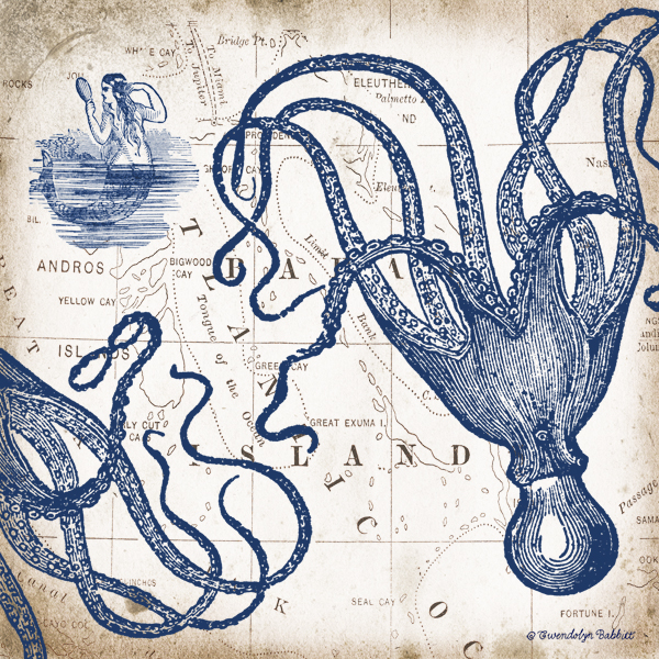 Octopi I