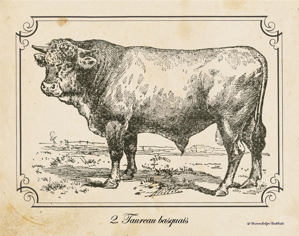 Farm Bull II