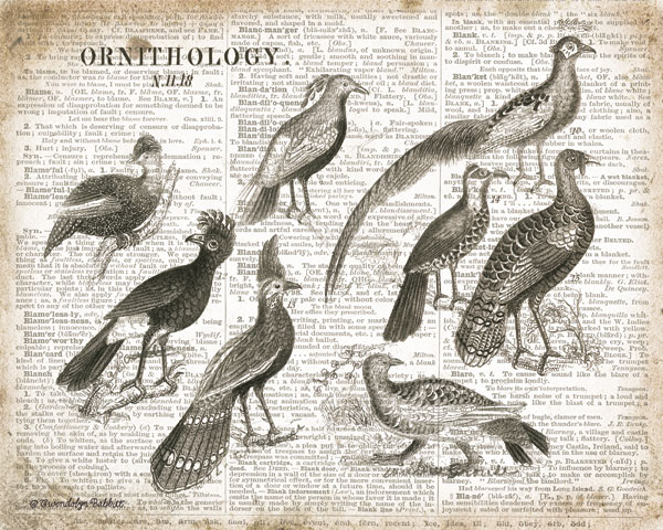 Birds I