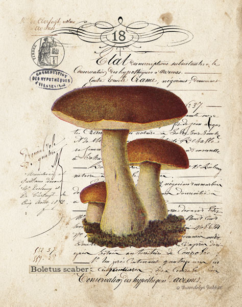 Mushroom II