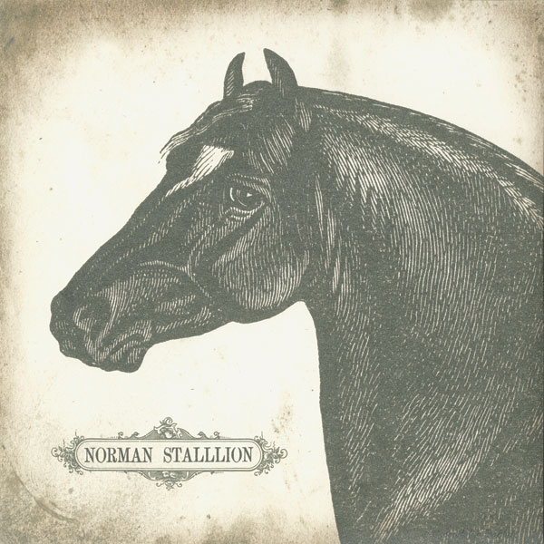 Norman Stallion