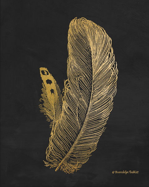 Feather on Black I