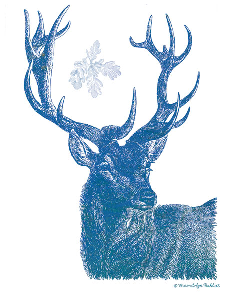 Indigo Deer I