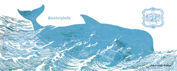 Whale on White I