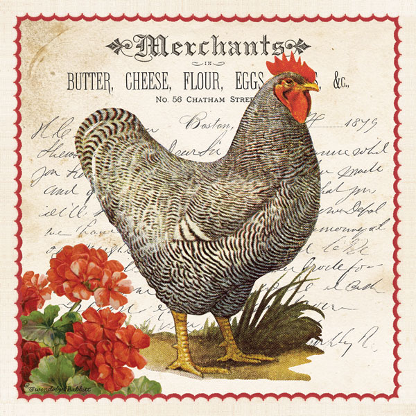 Geraniums & Rooster
