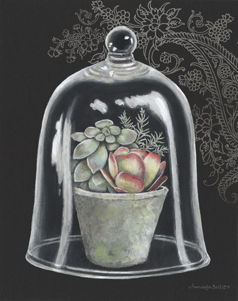 Succulent in Cloche IV
