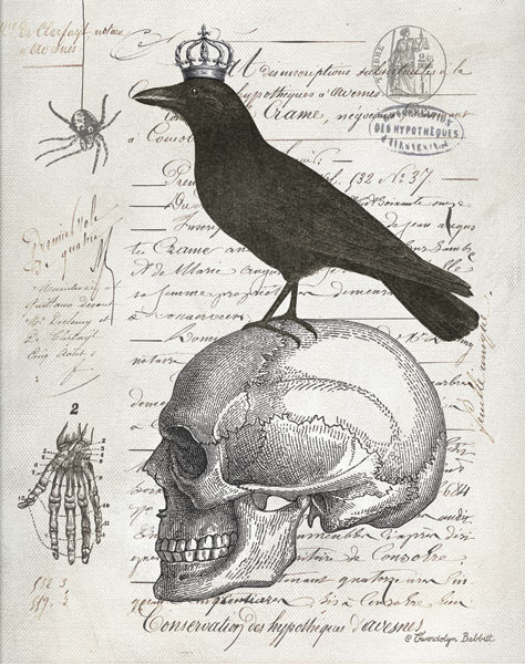 Skull & Crow