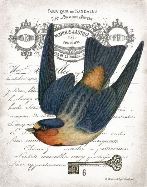 French Swallow I