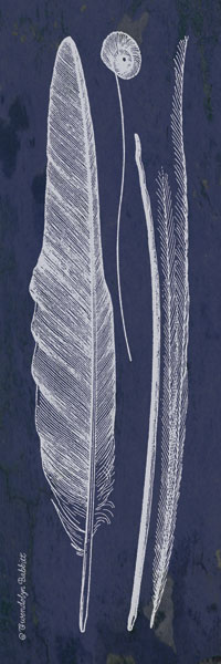 Indigo Feathers III