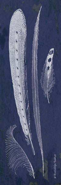Indigo Feathers IV