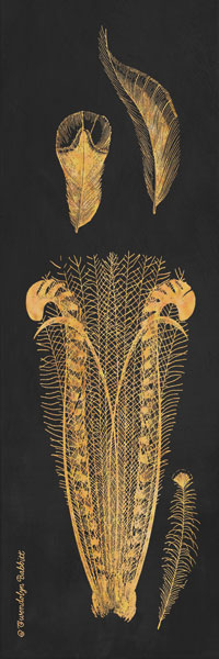 Gold Feathers I
