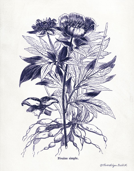 Indigo Botanical III