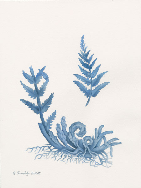 Indigo Fern I