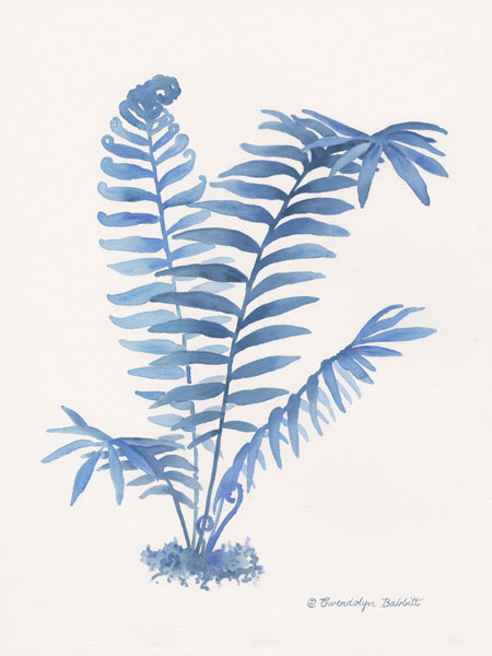 Indigo Fern III