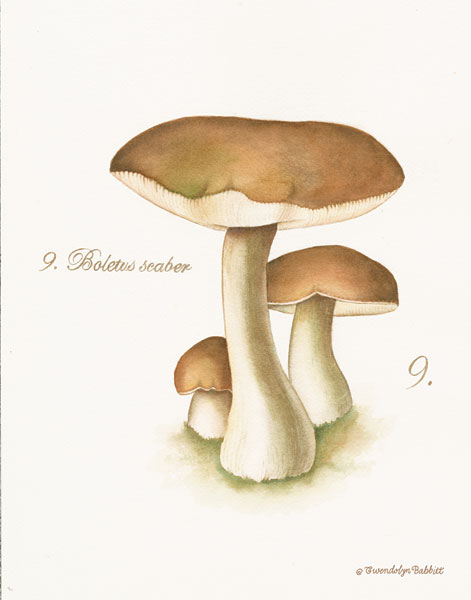 Mushroom II