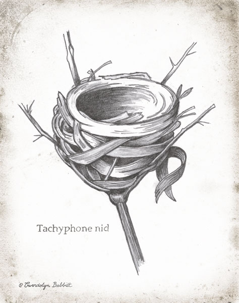 French Bird Nest I