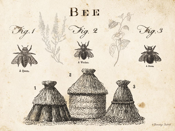 Bee Chart I