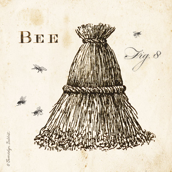 Bee Hive Fig 8