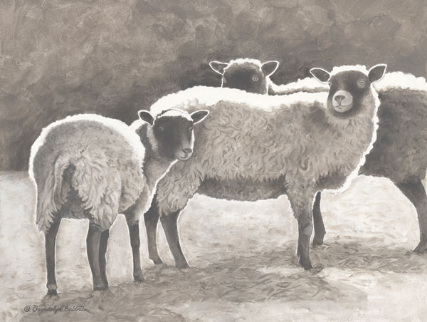 Three Heirloom Sheep