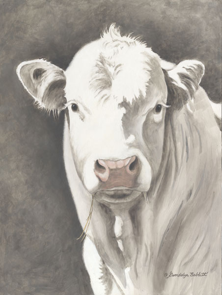 White Bull