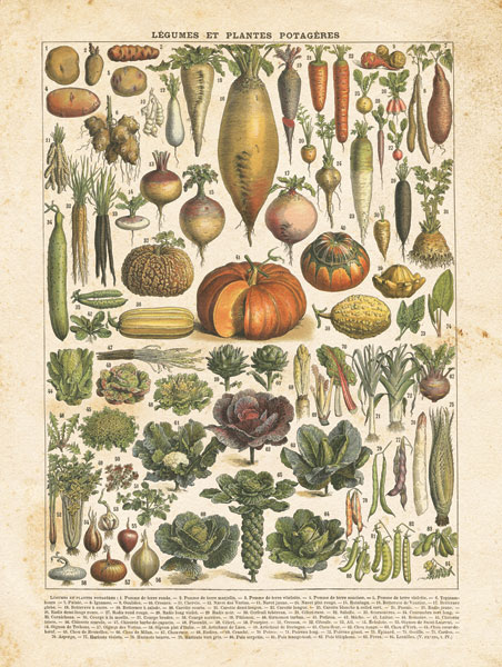 French Vegetable Chart