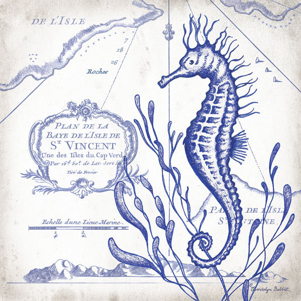 Seahorse on White II
