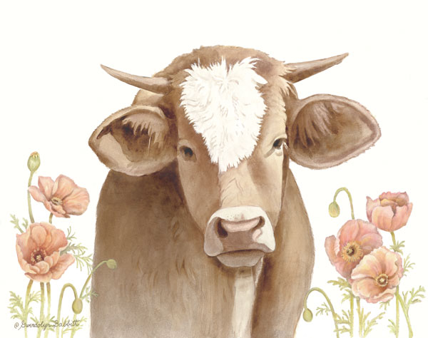 Poppy Cow