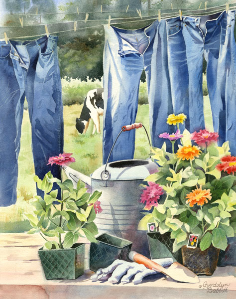 Blue jeans, Zinnias & Cow