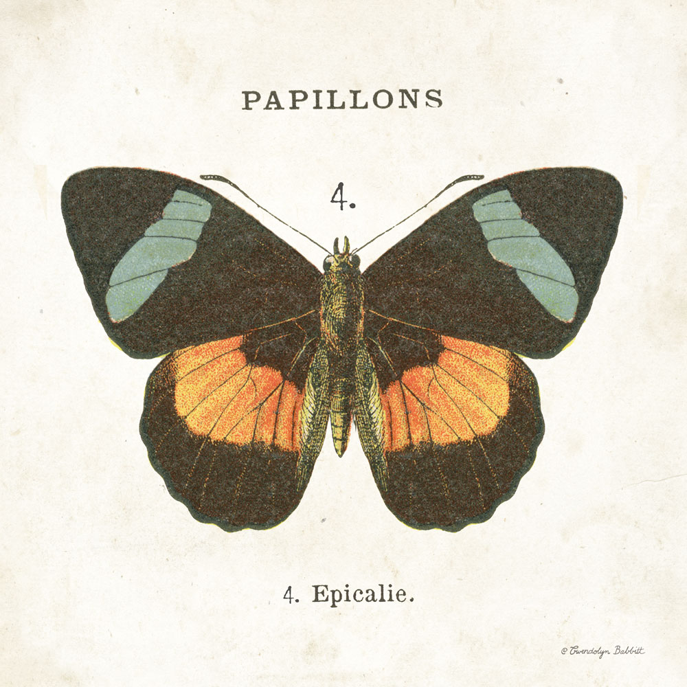 Butterfly IV