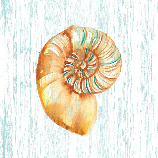 Beachcomber On Blue IV