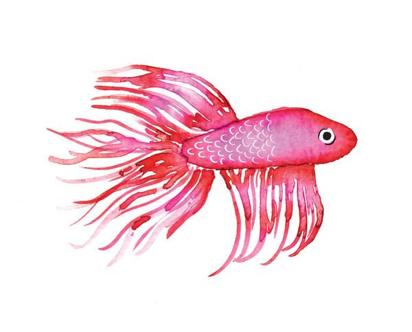 Deep Sea Pink Fish