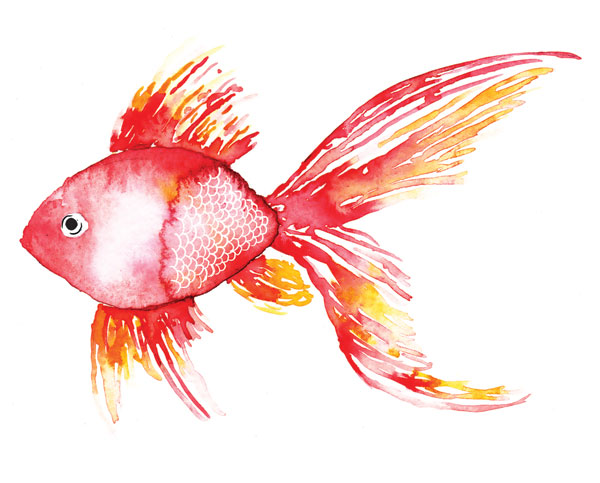 Deep Sea Coral Fish