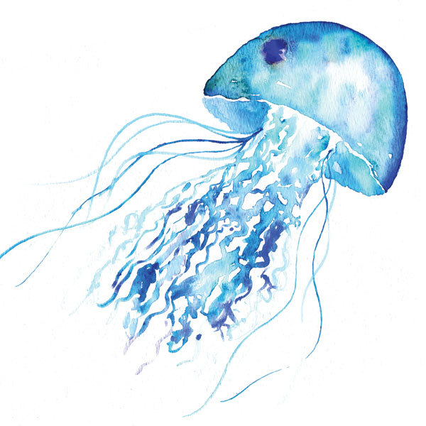 Blue Jellyfish