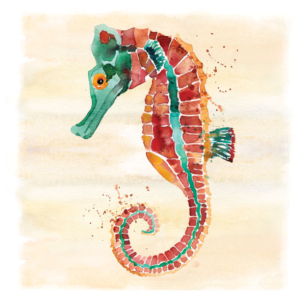 Seahorse